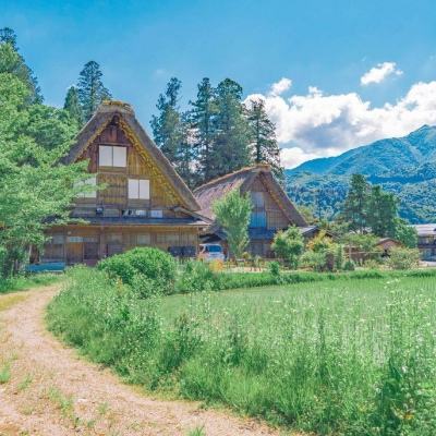 皇冠新体育app下载手机版